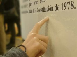 El CERMI celebra el acuerdo para reformar el artículo 49 de la Constitución y pide el apoyo de todos los grupos políticos “sin fisuras”