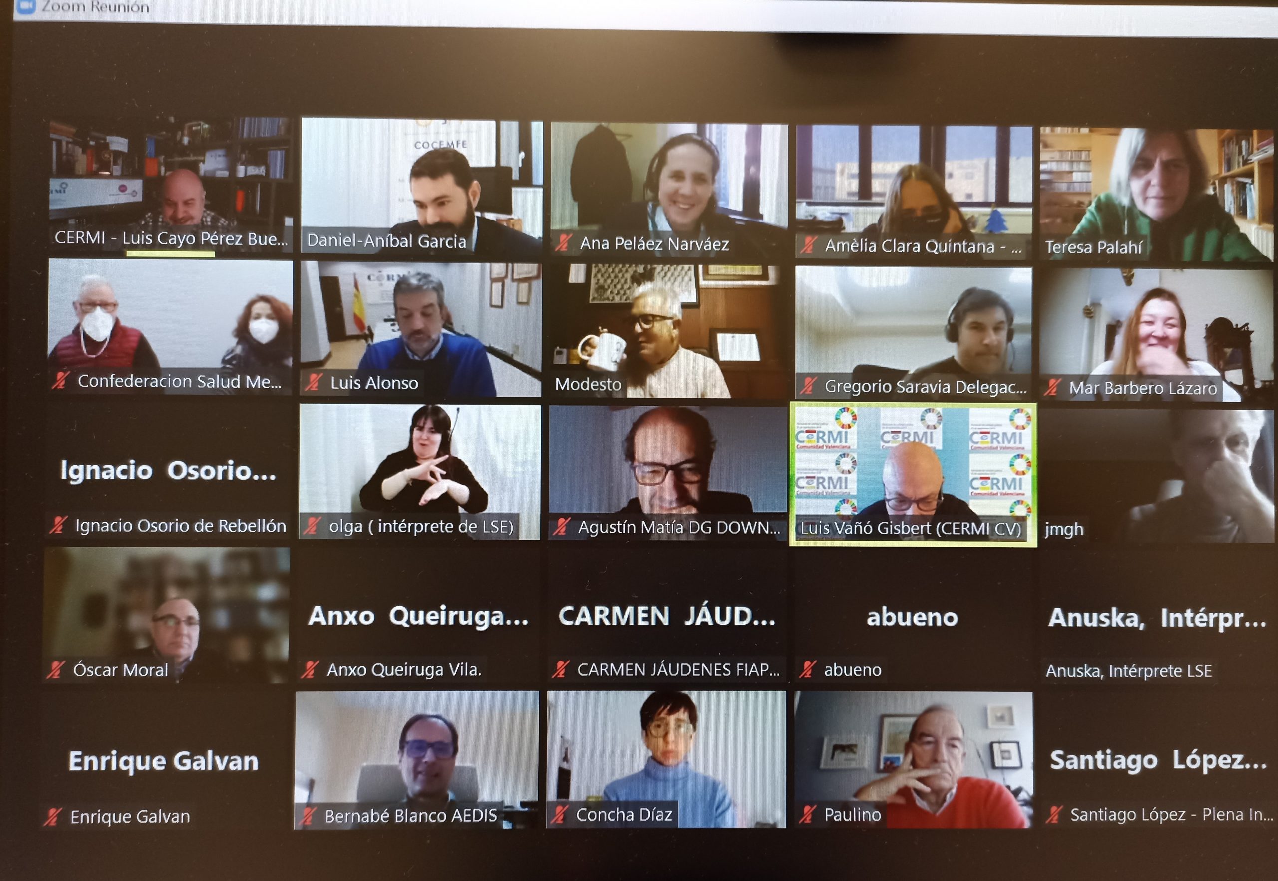 Imagen del pantallazo de la reunión del Comité Ejecutivo del CERMI Estatal de enero de 2022