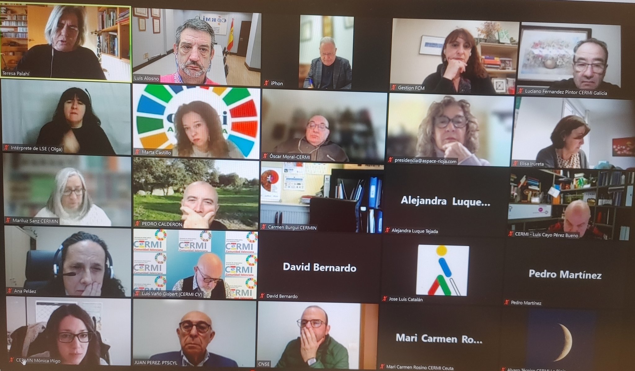 Reunión online de donde CERMI Mujeres anuncia el programa conmemorativo del 10º Aniversario de la entidad. Imagen de los diferentes asistentes a la reunión con webcam.
