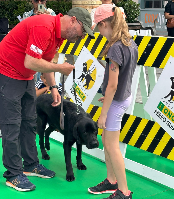 Fotografía en la que se ve un perro guía con su adiestrador en una exhibición en el Paseo del Queiles de Tudela, aparece una niña delante del perro.