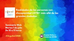 Seminario 'Realidades de las personas con discapacidad LGTBI+ más allá de las grandes ciudades' - CERMI