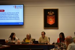 CERMIN reclama en la Comisión de Salud del Parlamento de Navarra mejoras en el Decreto Foral de prestación ortoprotésica para garantizar un acceso equitativo y real a los productos de apoyo