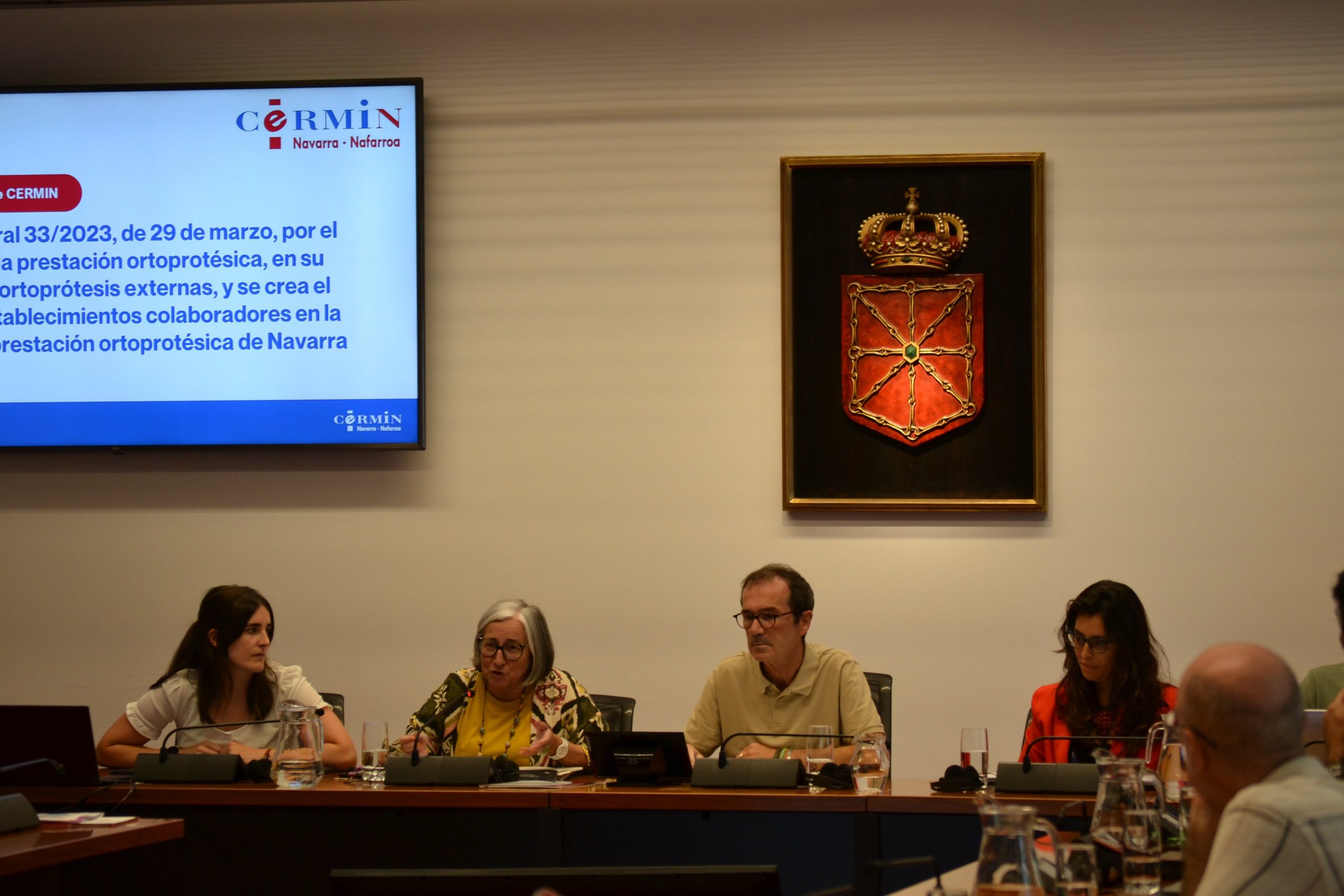 Mariluz Sanz acompañada de miembros de CERMIN en el Parlamento hablando a la Comisión de Salud