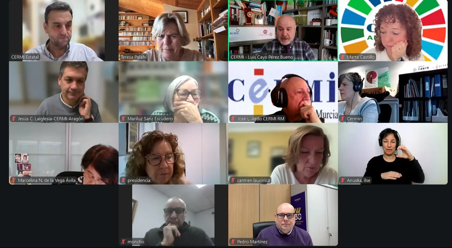 CAPTURA DE PANTALLA DE LA REUNIÓN ONLINE, PERSONAS CON LA IMAGEN DE LA WEBCAM