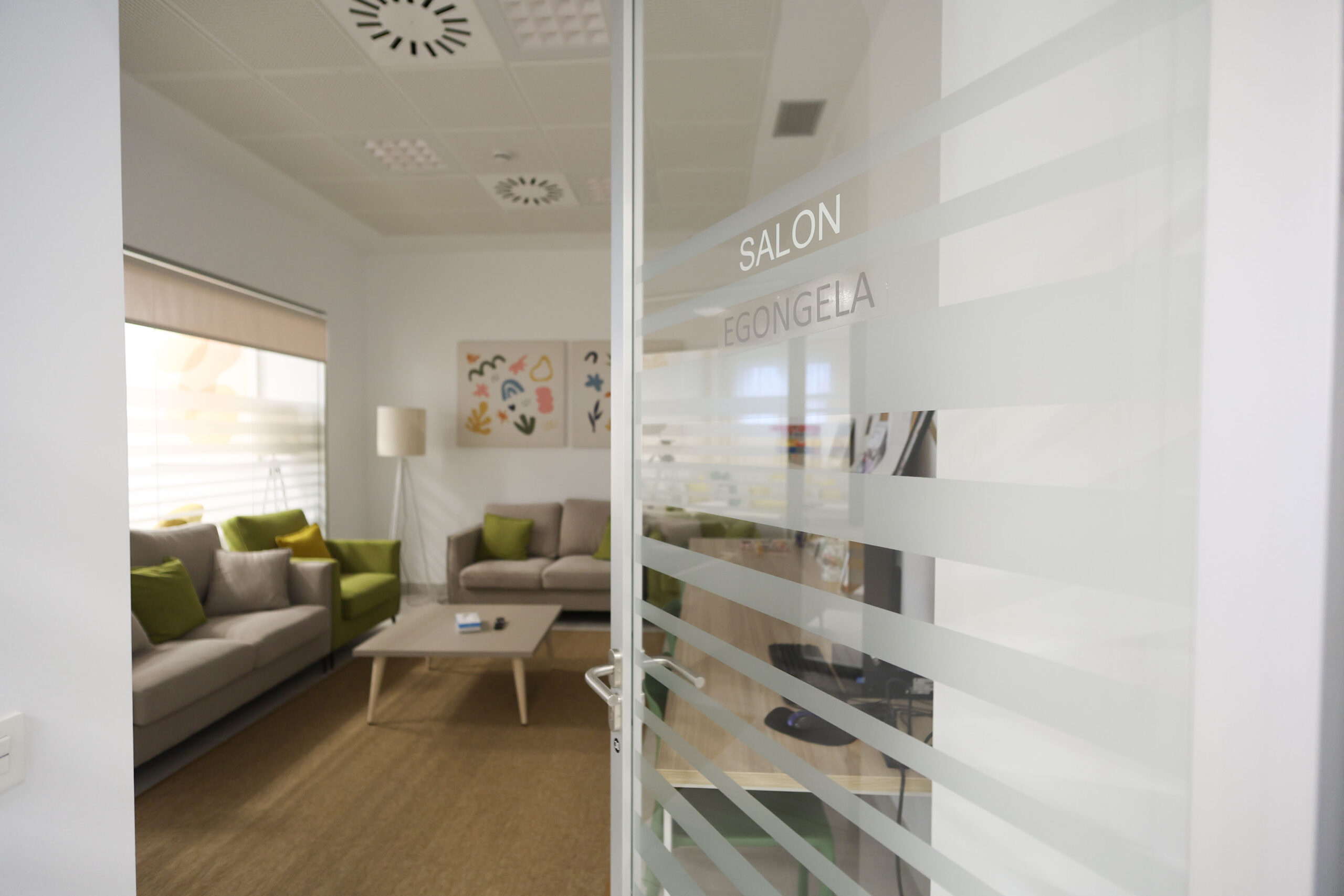 Visita del salón de una vivienda