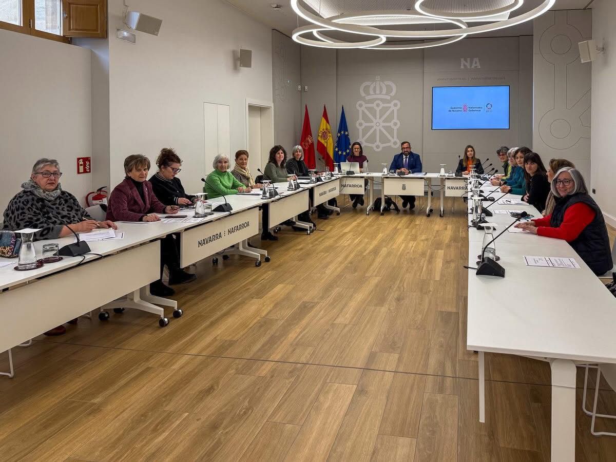 consejo Navarro de la Igualdad miembros en un momento de la reunión en torno a unas mesas