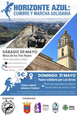 Marcha solidaria en favor del autismo dentro del evento “Horizonte Azul” - ANA